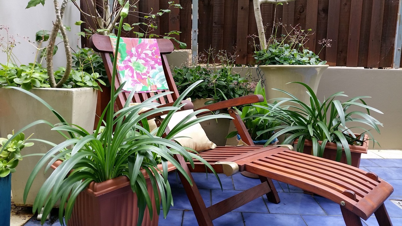Photo of Outdoor in Narrabeen
