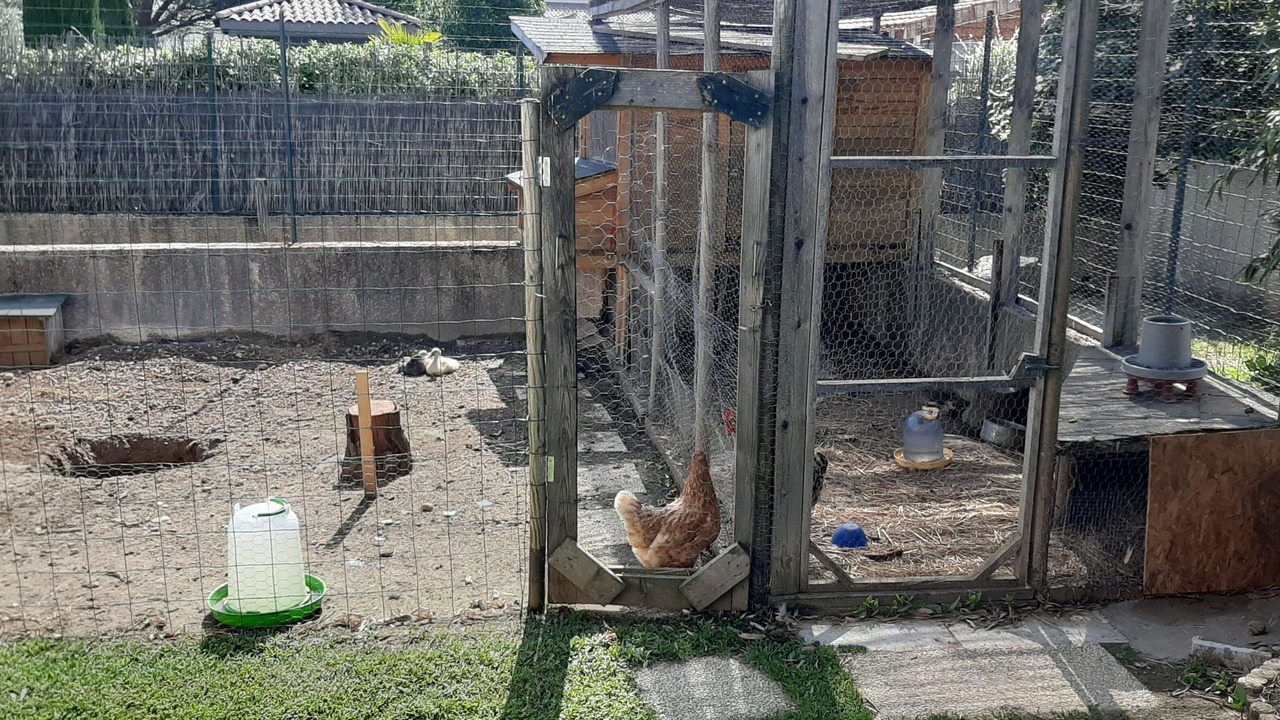 Photo of Outdoor in Mercurol