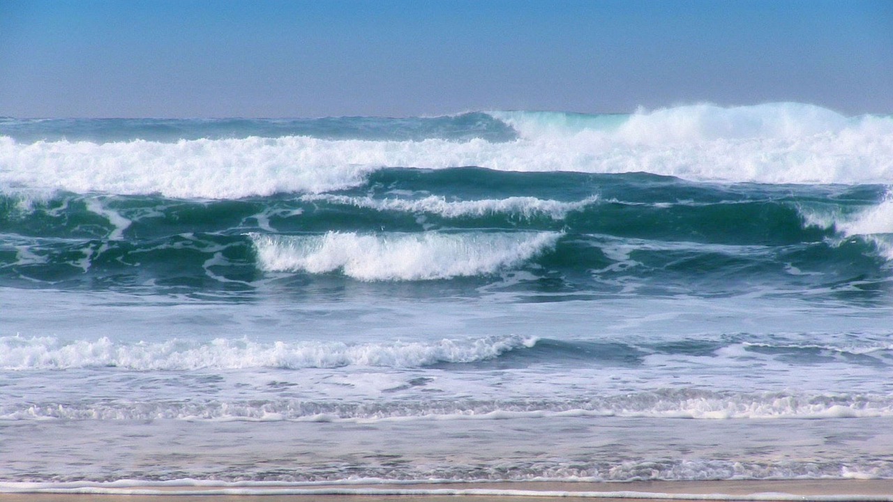Photo of Others in Ocean Beach