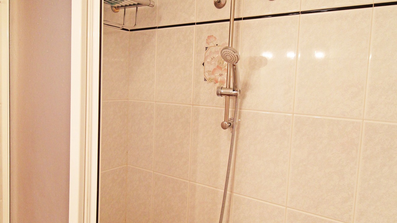 Photo of Bathroom in Alicante City Centre