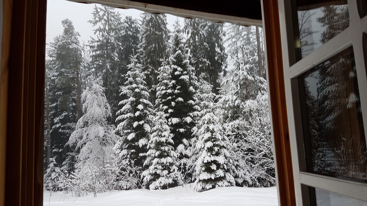 Photo of Others in Borovets