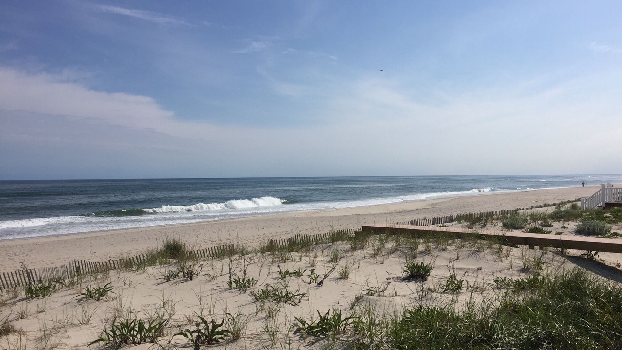 Photo of Others in West Hampton Dunes