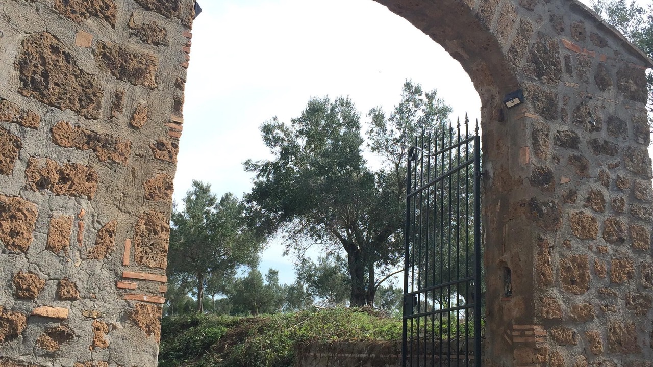 Photo of Outdoor in Cerveteri