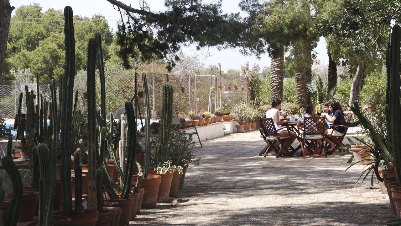 Photo of Outdoor in San Juan de Alicante