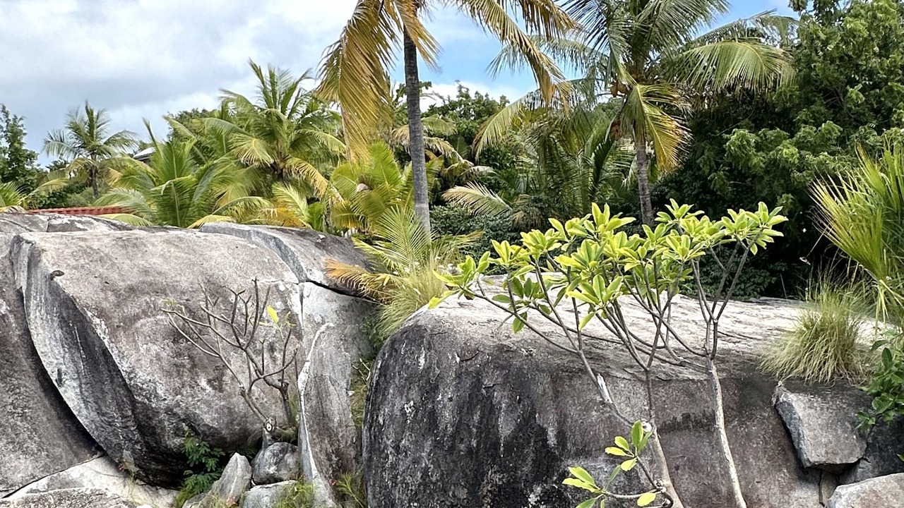 Photo of Others in Little Trunk Bay