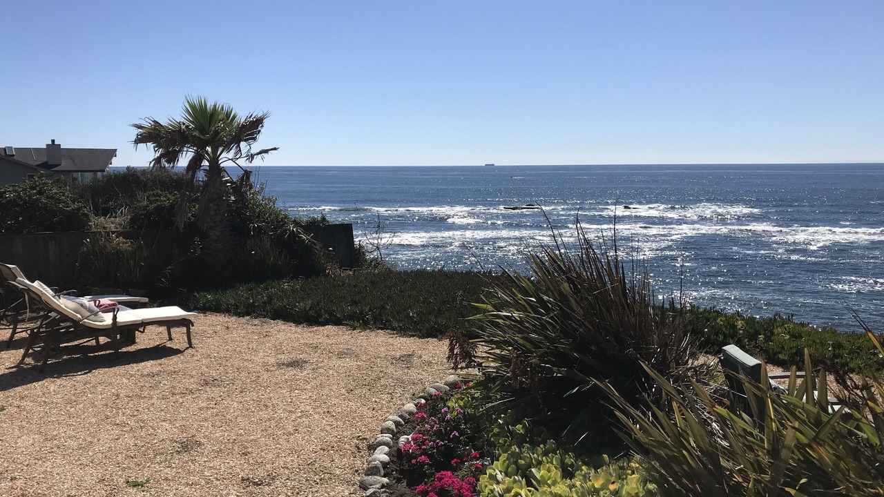 Photo of Others in Moss Beach
