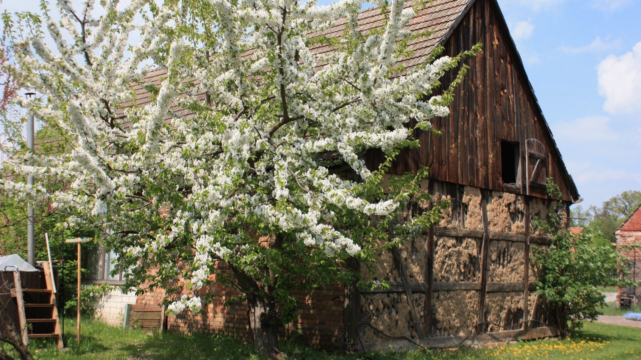 Photo of Outdoor in Bad Saarow