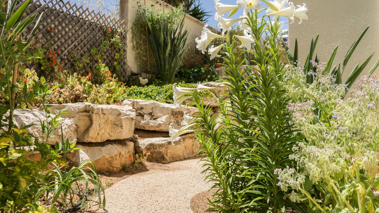 Photo of Outdoor in Rehovot