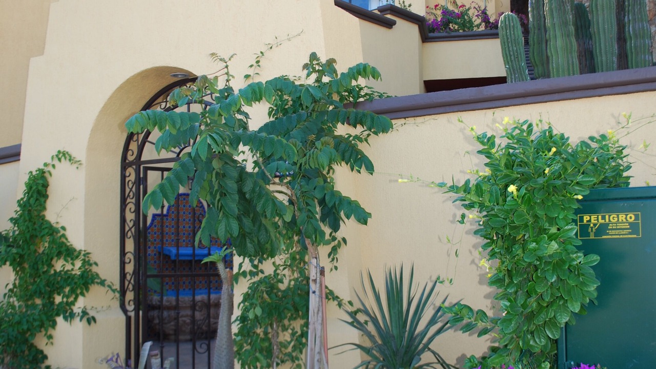 Photo of Outdoor in Pedregal