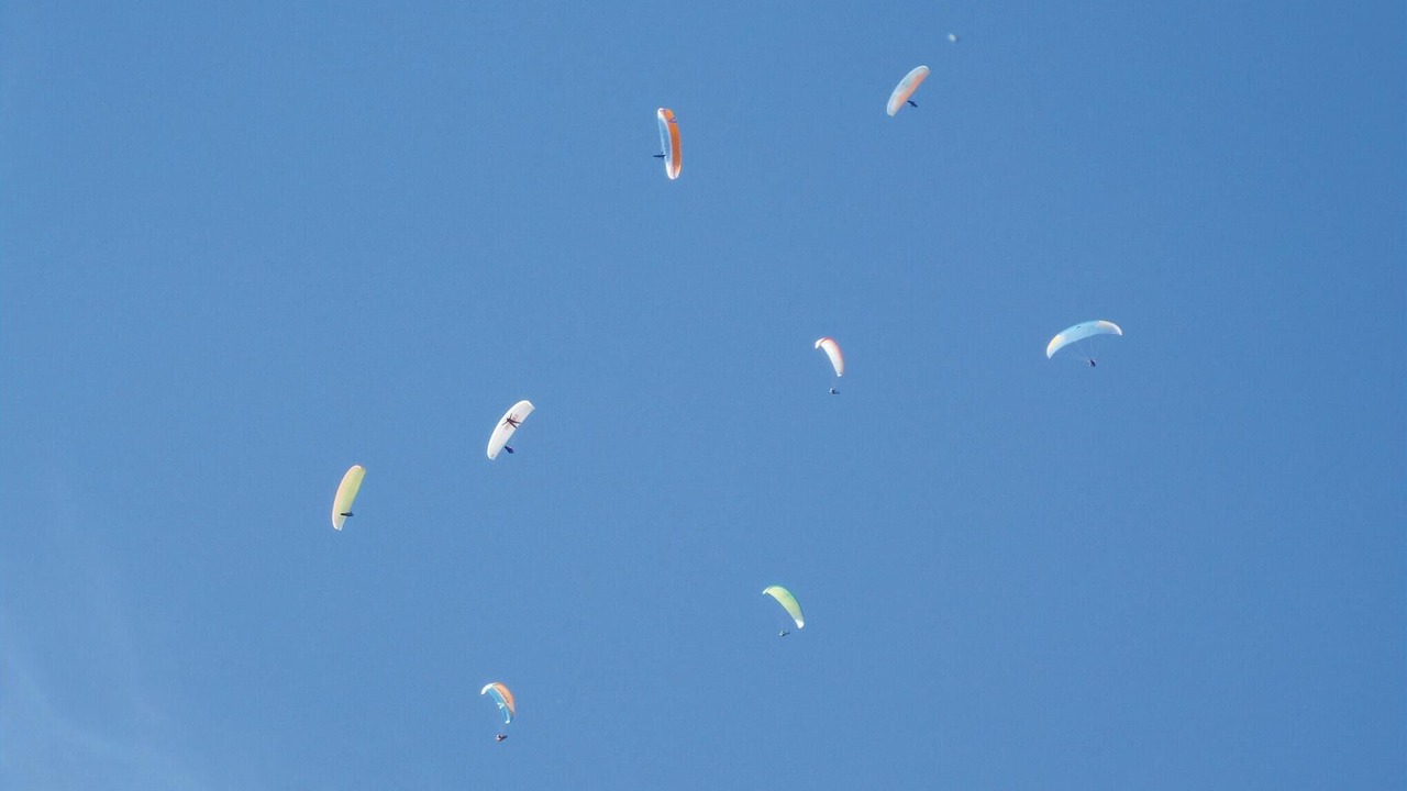Photo of Others in Trava