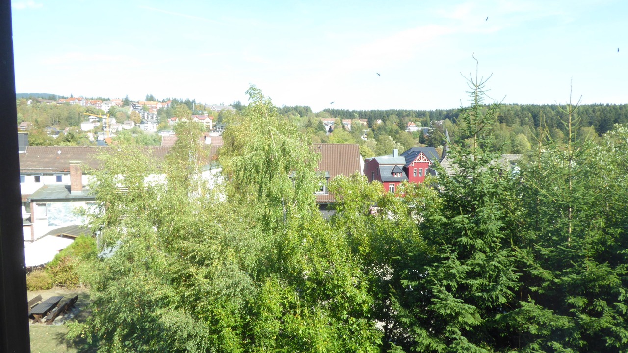 Photo of Others in Braunlage