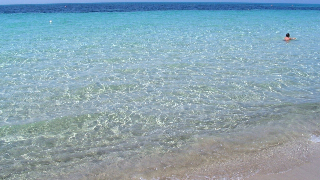 Photo of Others in Torre Mozza