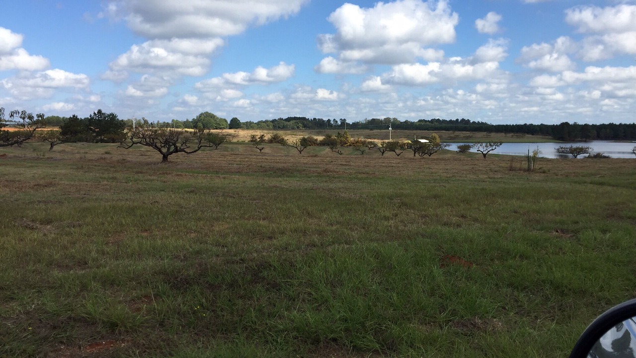Photo of Outdoor in Ruston