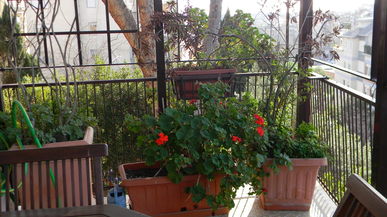 Photo of Outdoor in Gianicolense