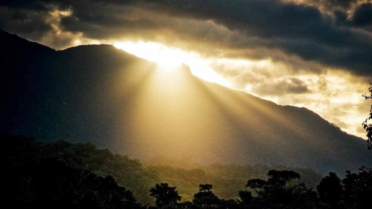 Photo of Others in Mossman