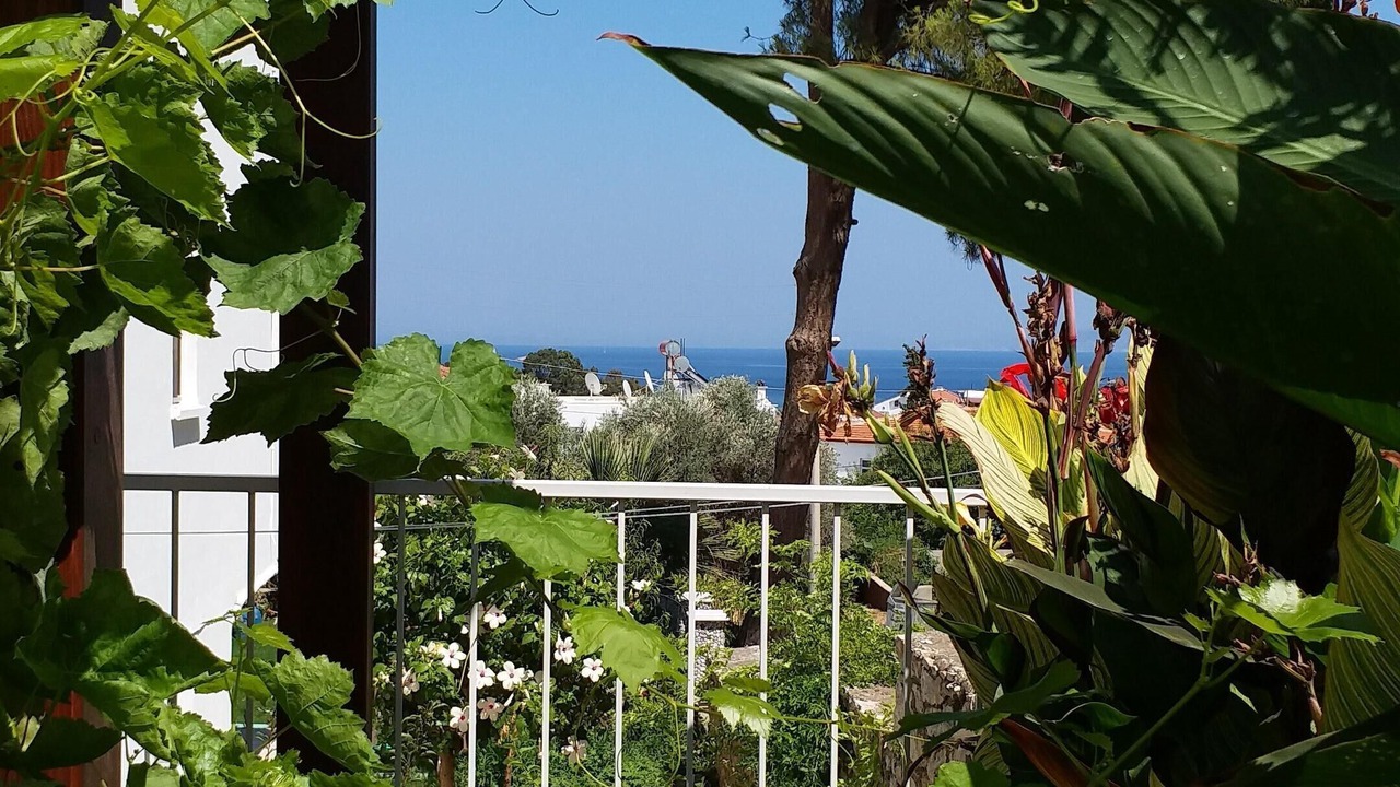 Photo of Outdoor in Datca City Center