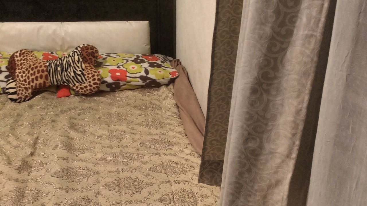 Photo of Bedroom in Jose Sixto Verduzco