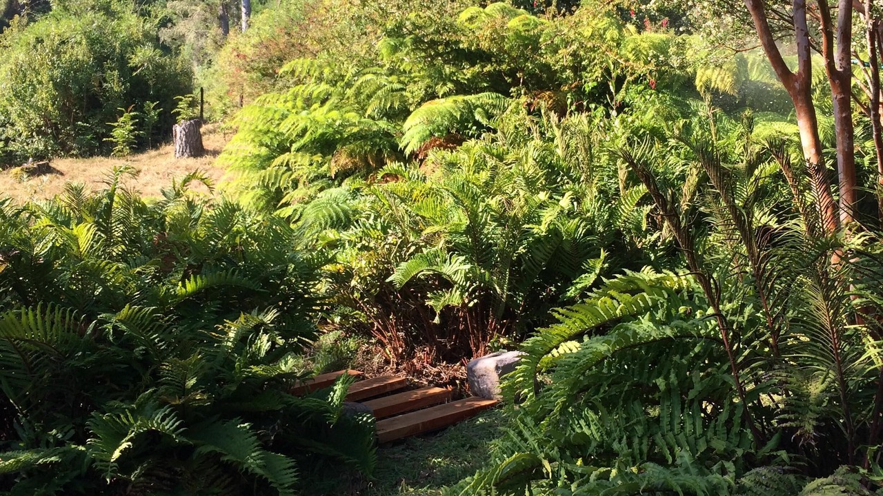 Photo of Outdoor in Los Rios