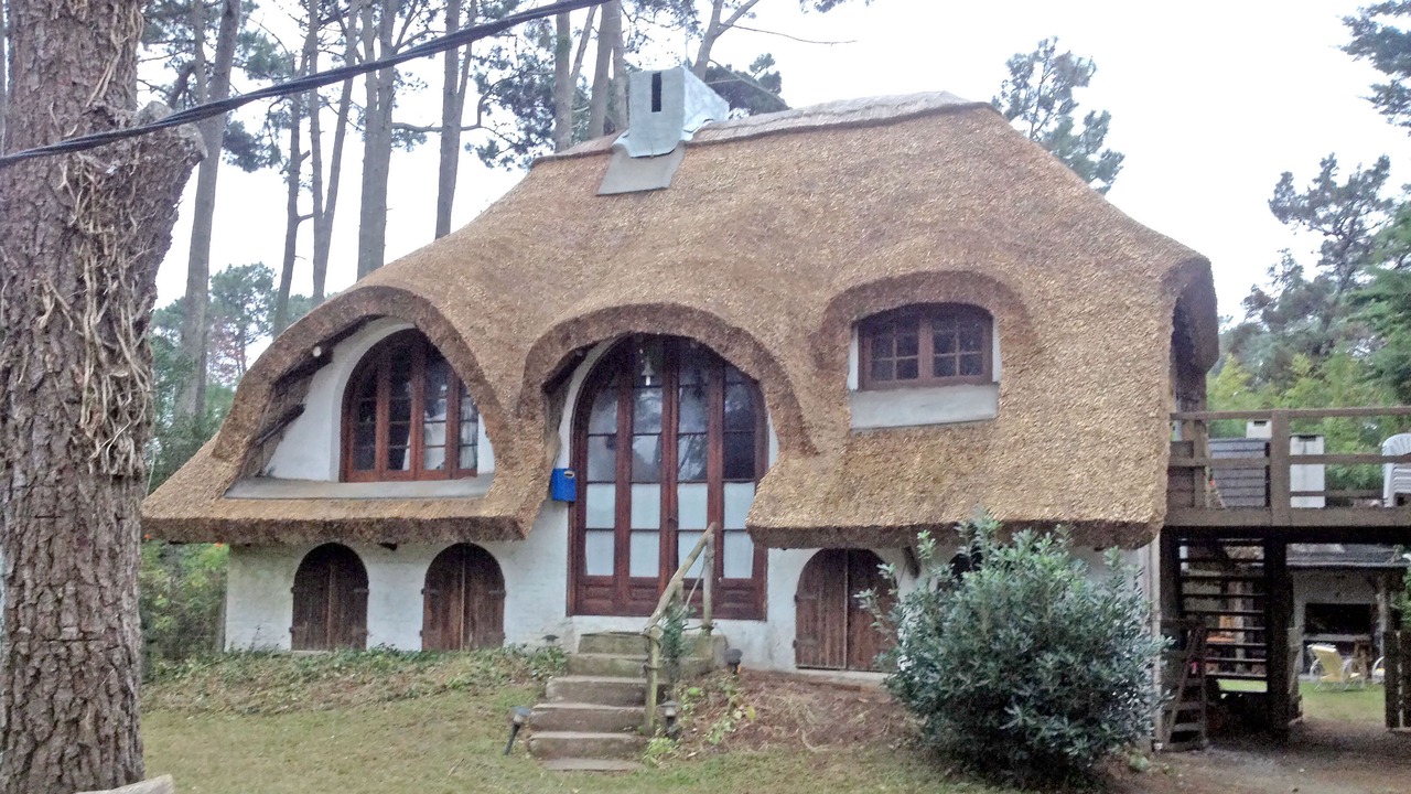 Photo of Outdoor in Maldonado