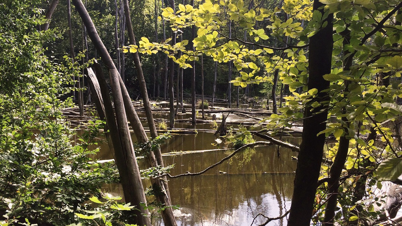 Photo of Outdoor in Liepe