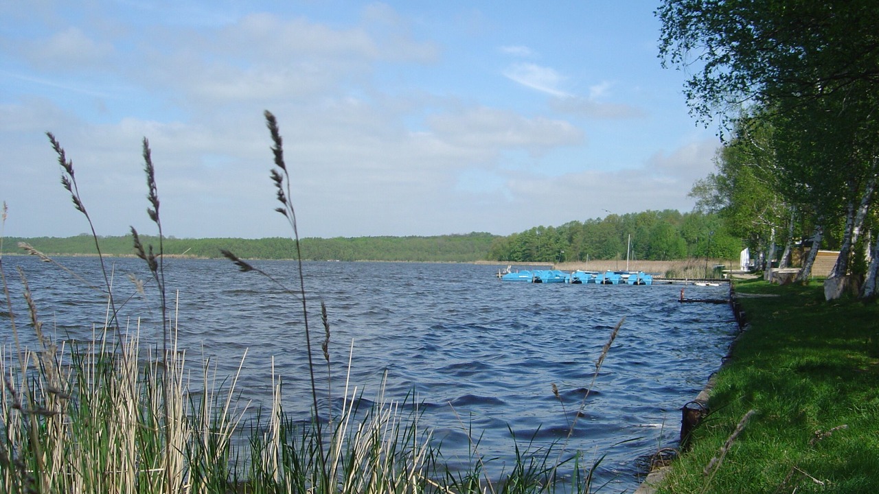 Photo of Others in Rangsdorf