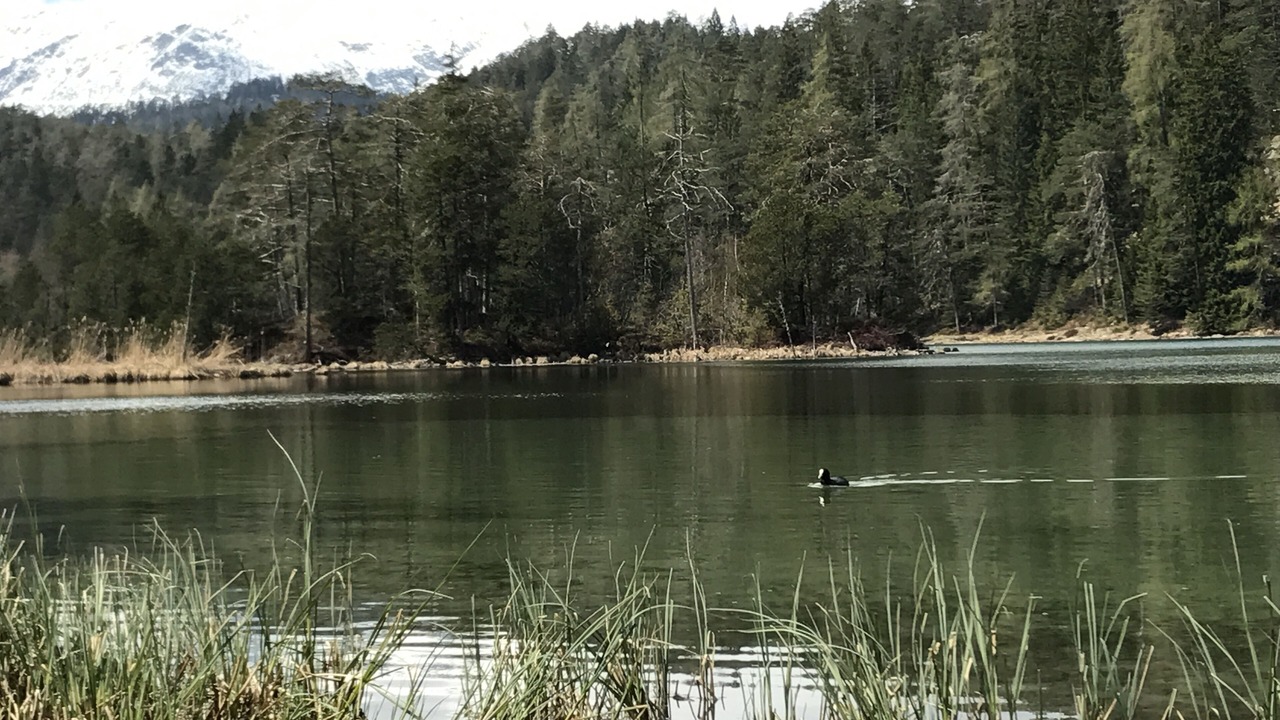 Photo of Outdoor in Biberwier
