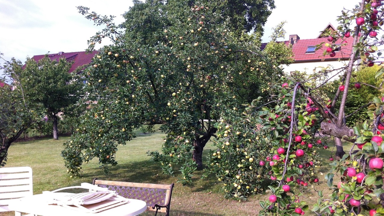 Photo of Outdoor in Werder
