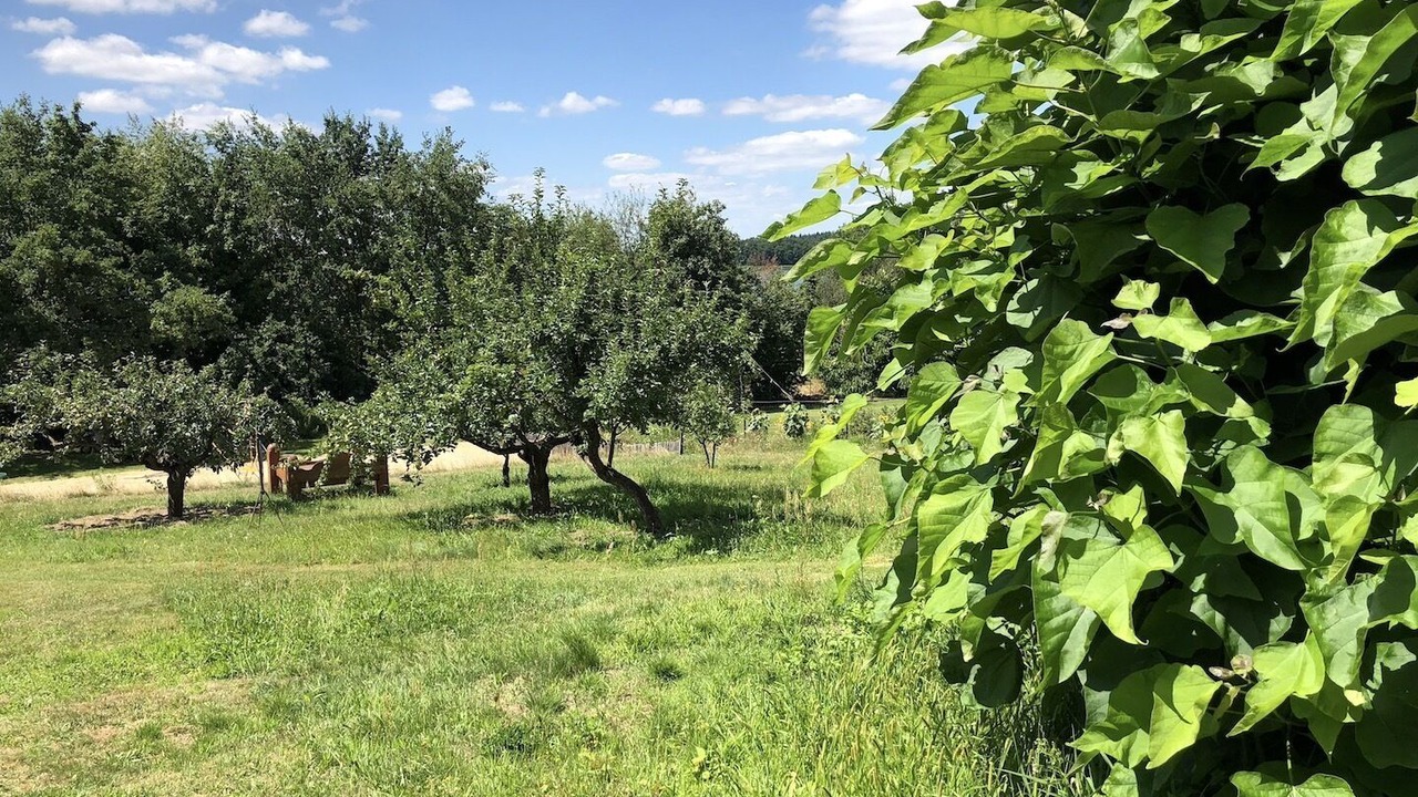 Photo of Outdoor in Werder