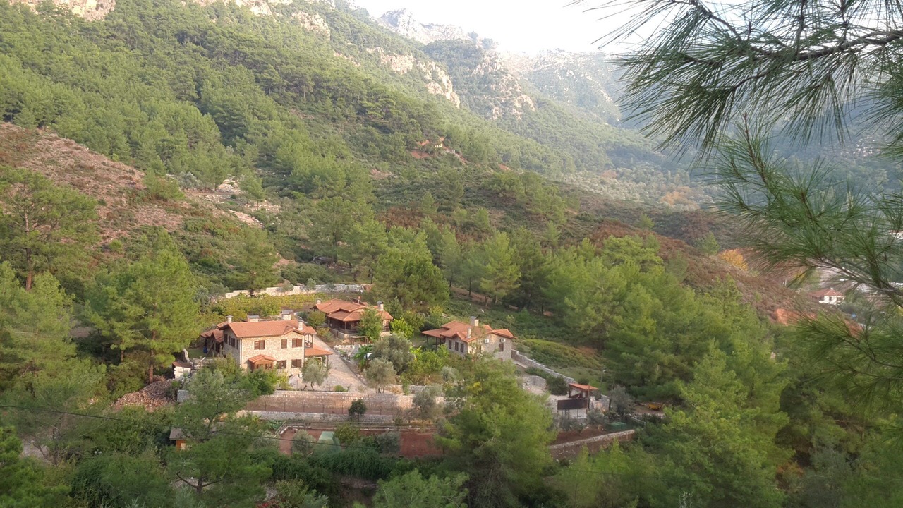 Photo of Others in Avlana