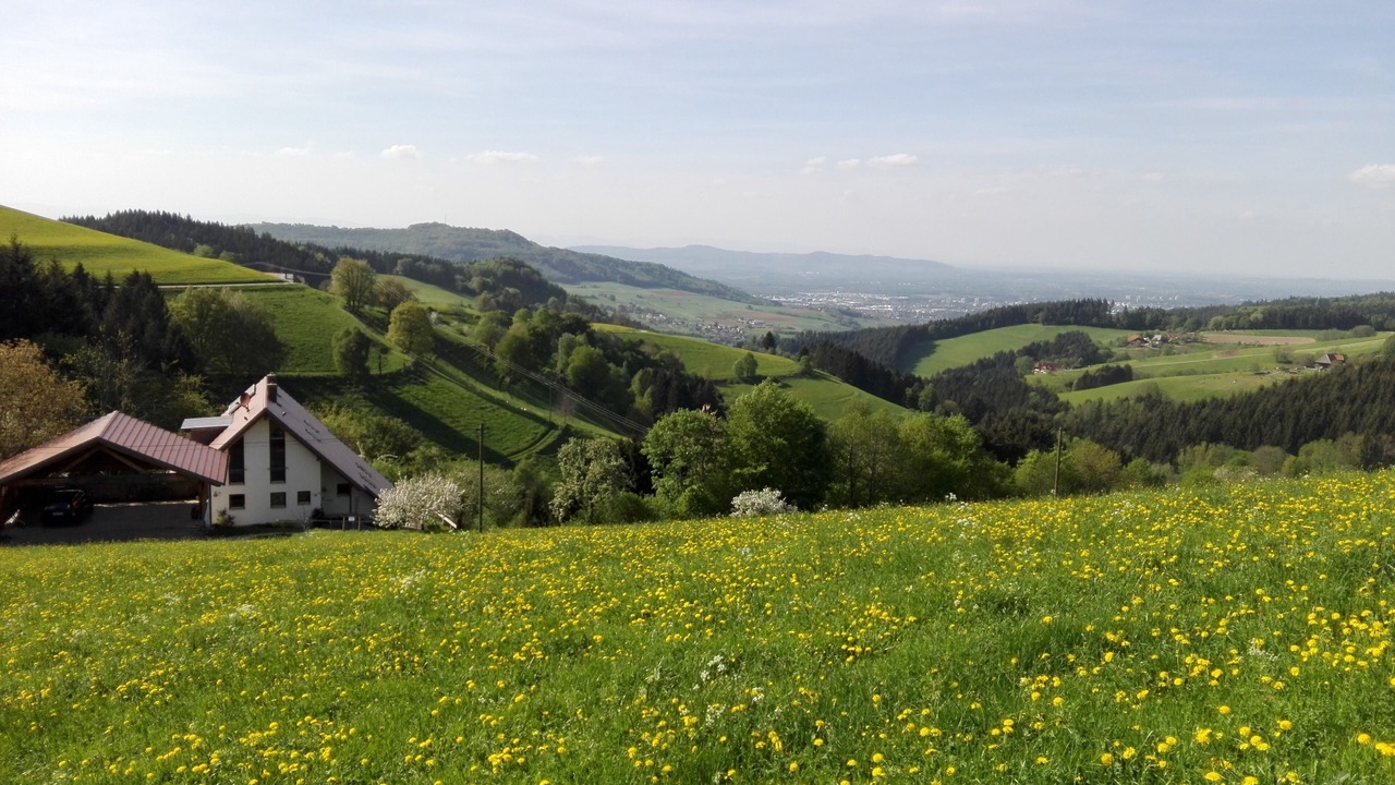 Photo of Outdoor in Horben