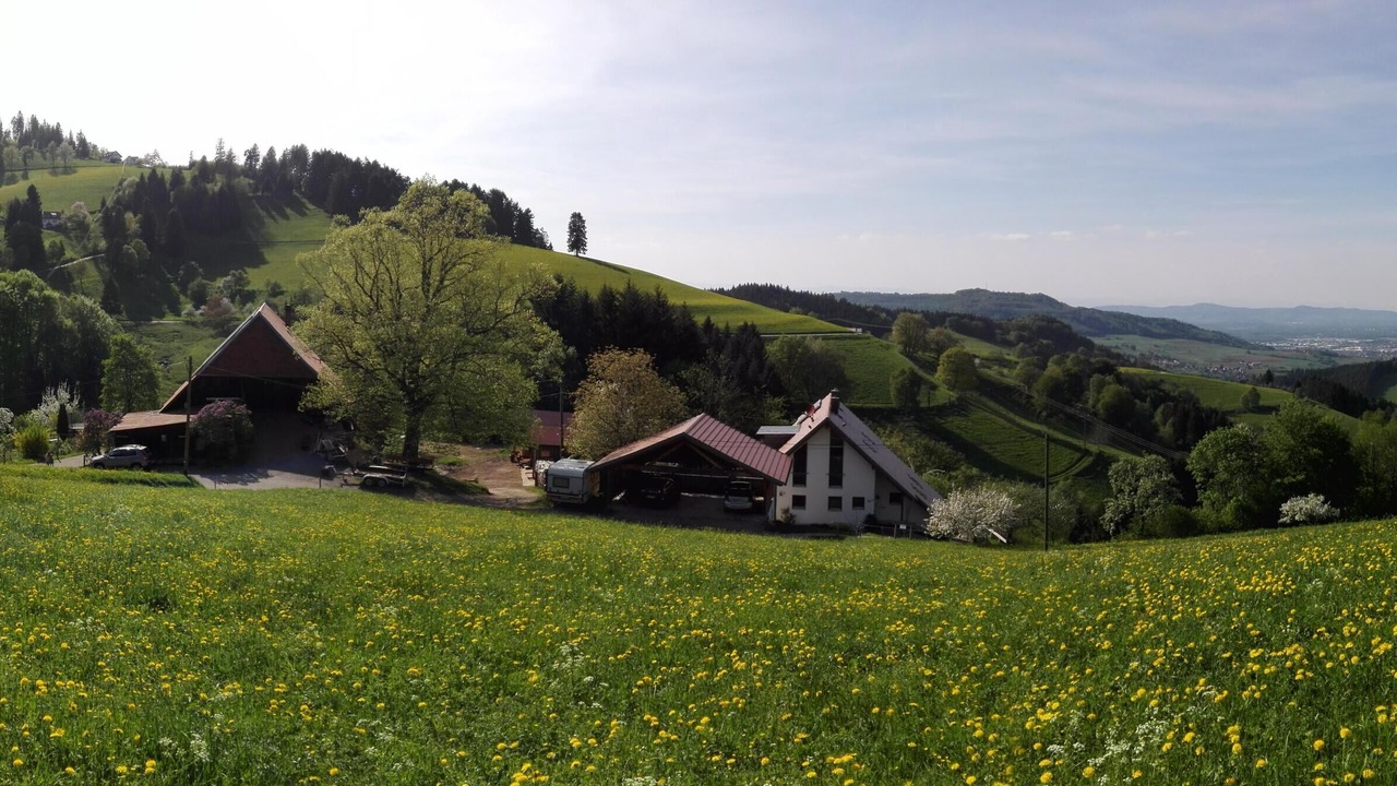 Photo of Others in Horben