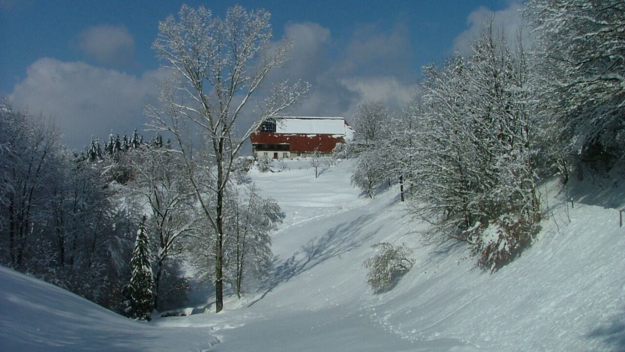 Photo of Outdoor in Horben