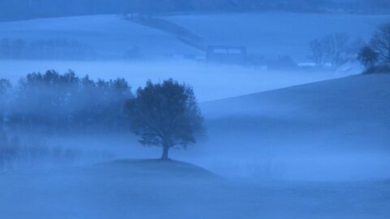 Photo of Others in Horben
