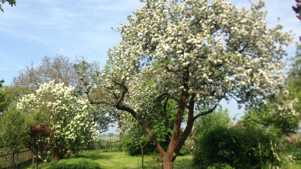 Photo of Outdoor in Gusow