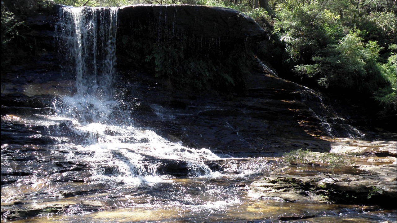 Photo of Others in Katoomba