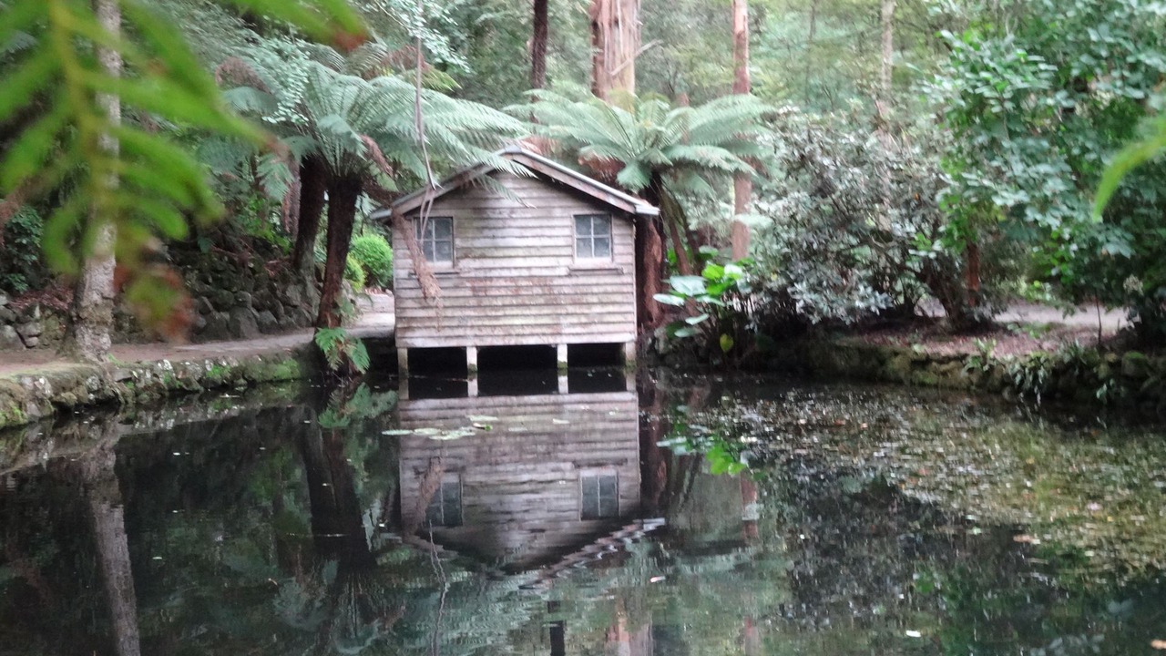 Photo of Others in Mount Evelyn
