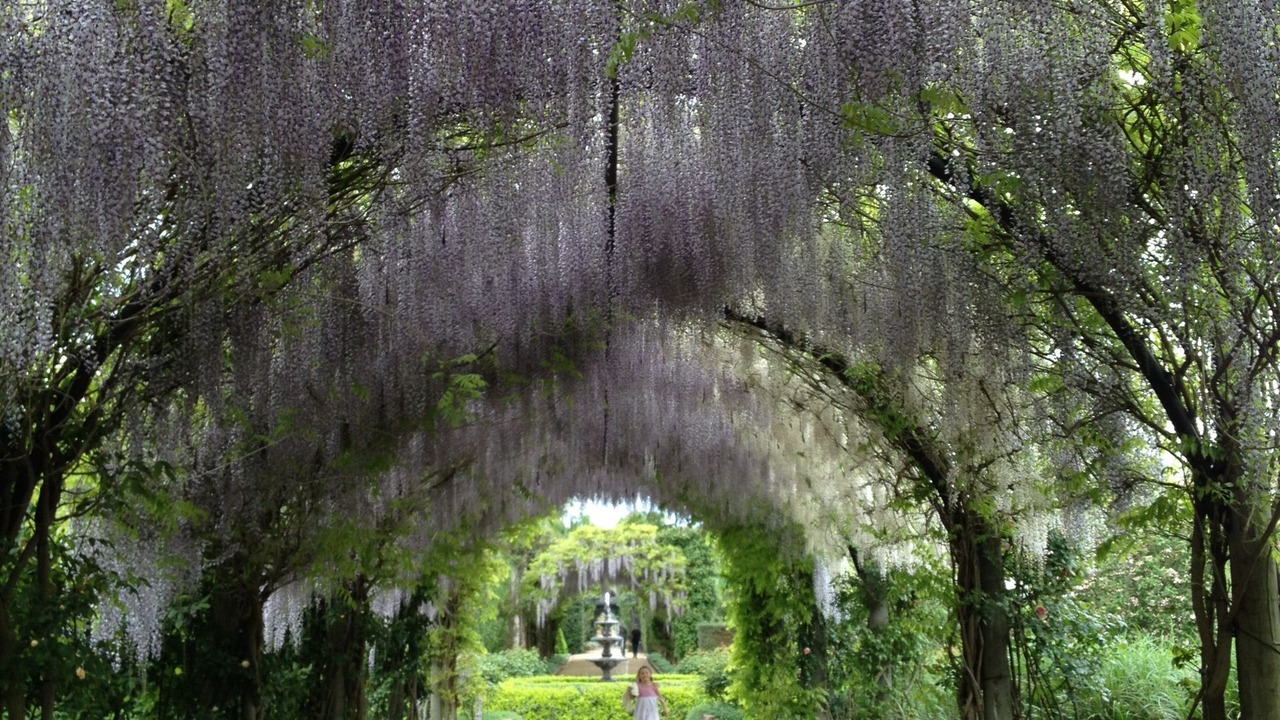 Photo of Others in Mount Evelyn