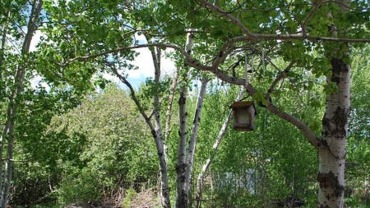 Photo of Others in Driggs