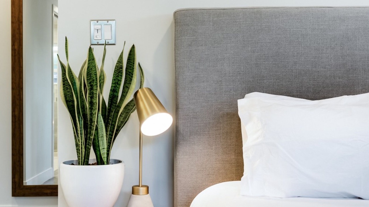 Photo of Bedroom in Mar Vista