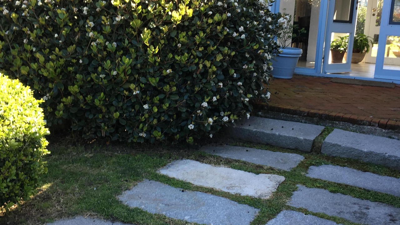 Photo of Outdoor in La Barra