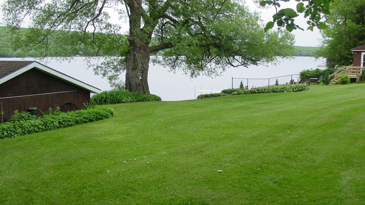 Photo of Outdoor in Town of Bellmont