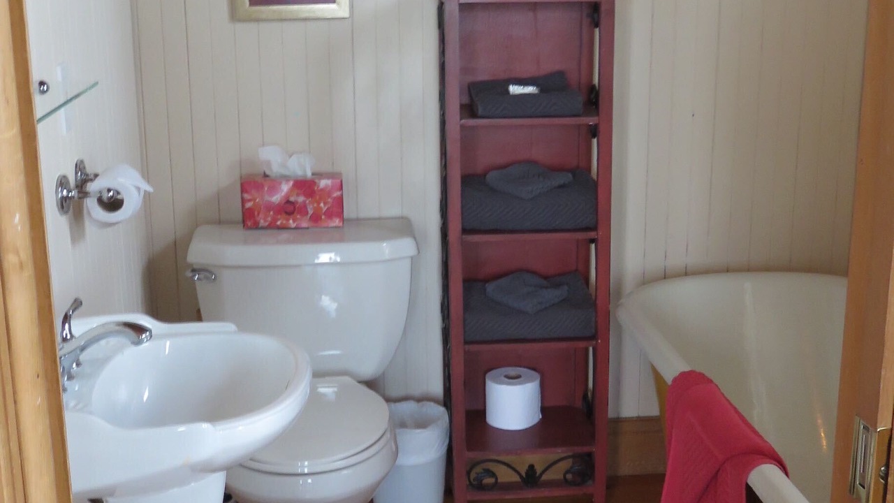 Photo of Bathroom in Saint Irenee