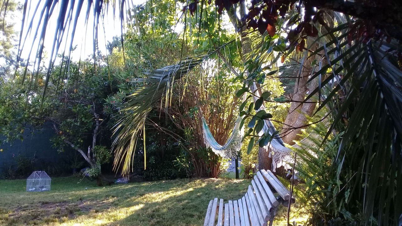 Photo of Outdoor in Maldonado