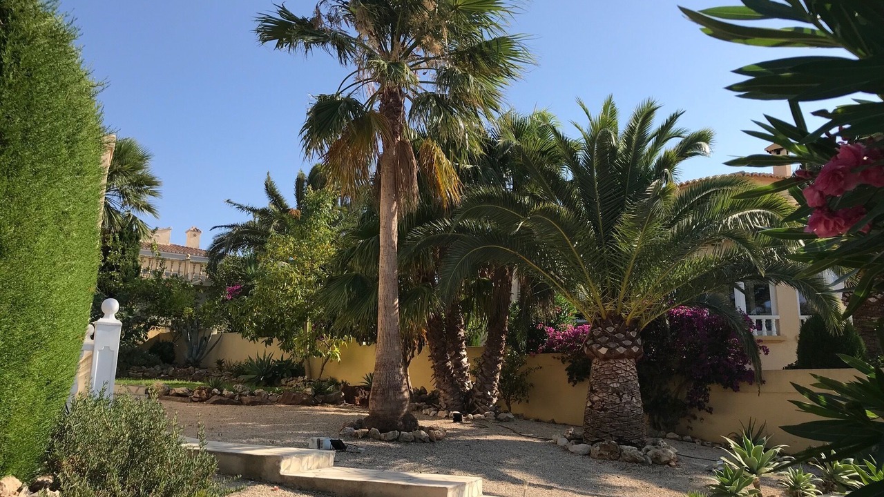 Photo of Outdoor in Denia