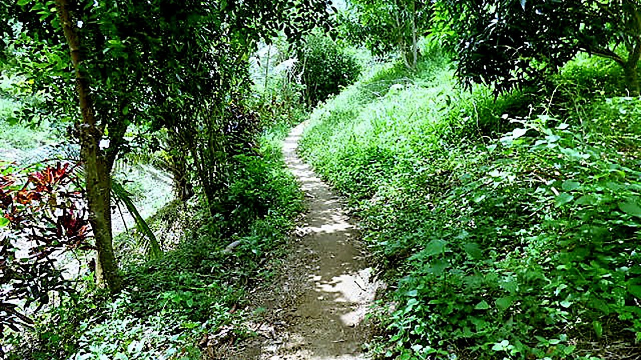 Photo of Outdoor in Canaveral