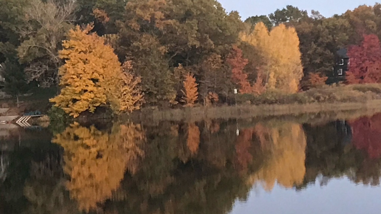 Photo of Others in Twin Lake