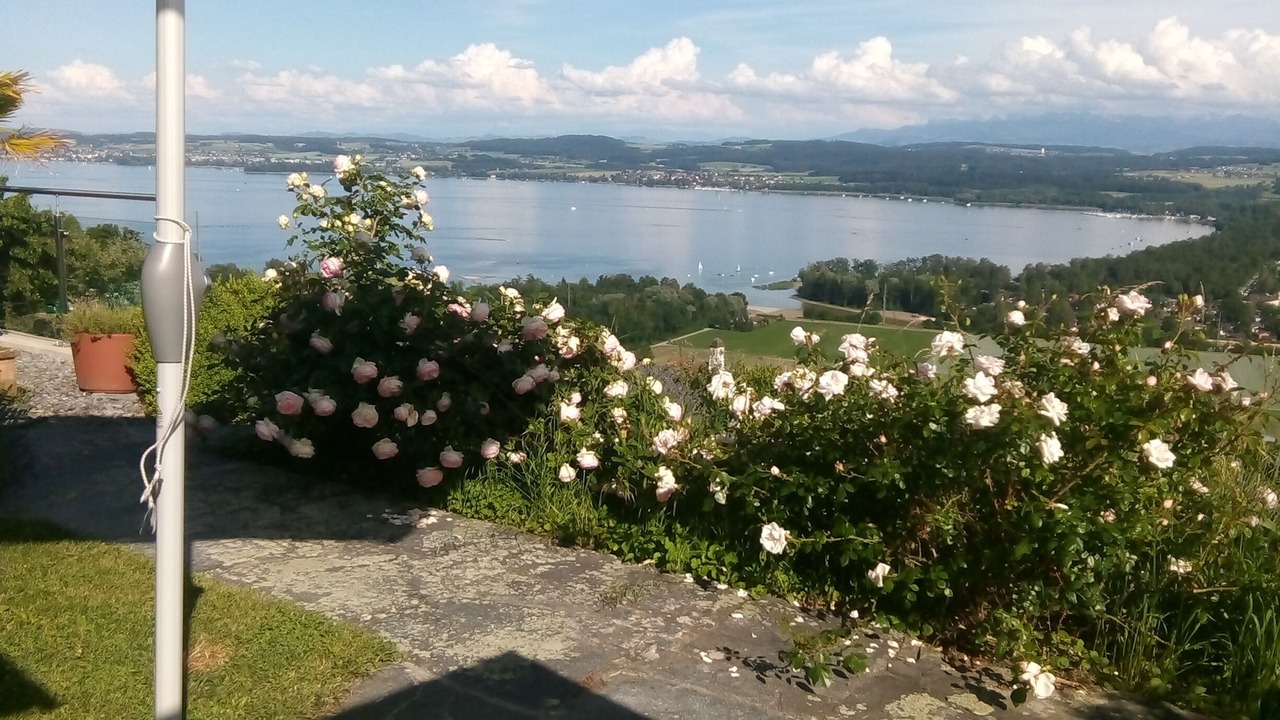 Photo of Outdoor in Bellerive