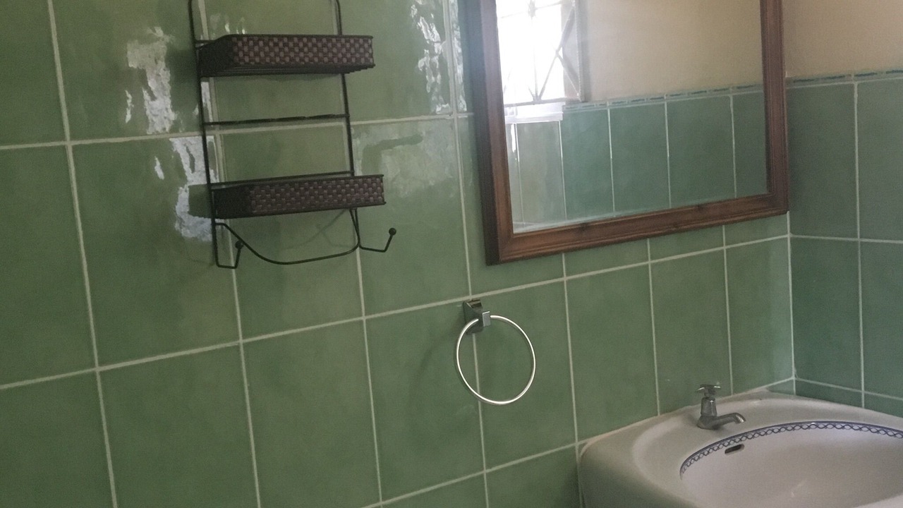 Photo of Bathroom in Yallahs