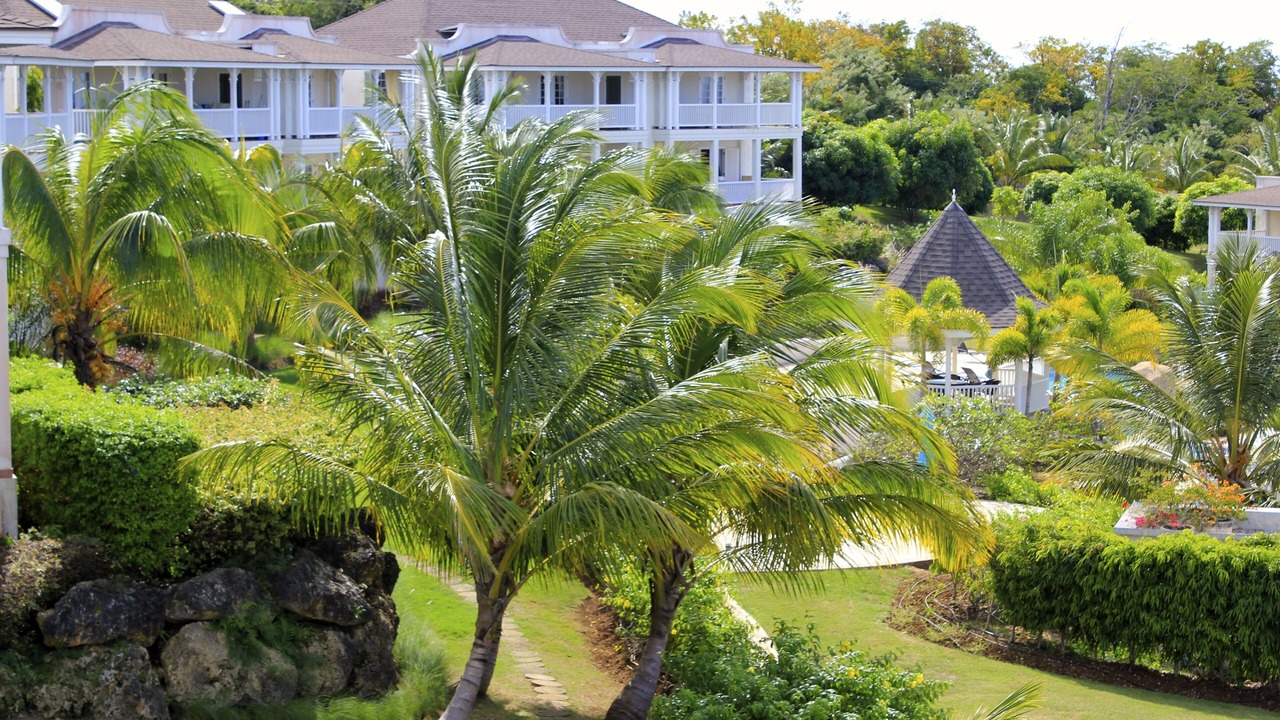 Photo of Others in Speightstown