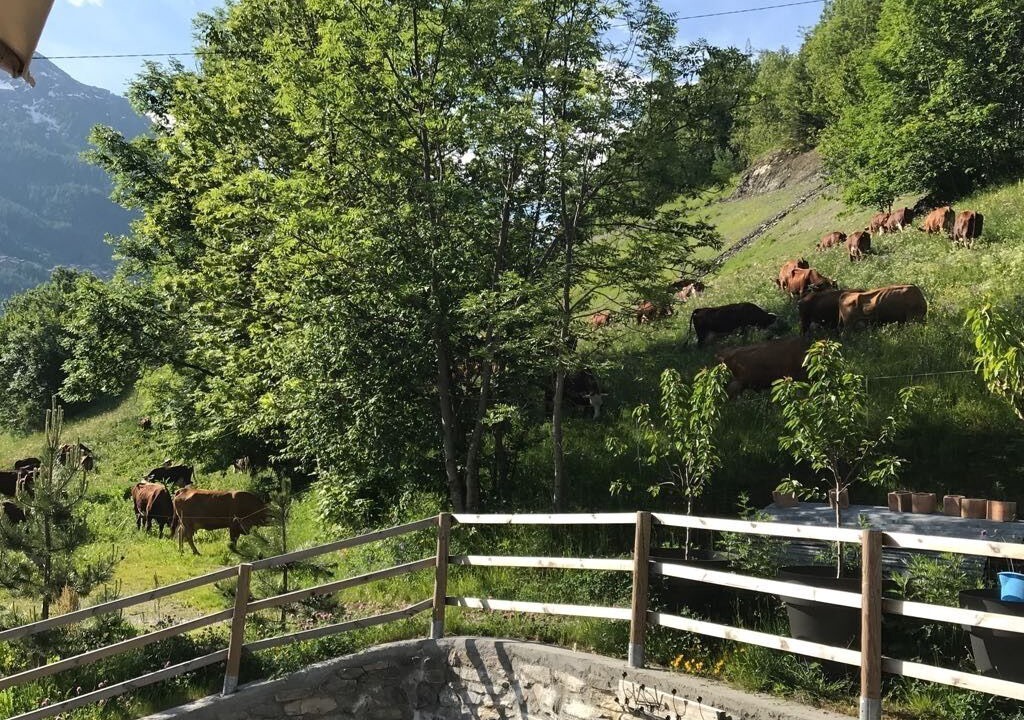 Photo of Outdoor in Villaroger